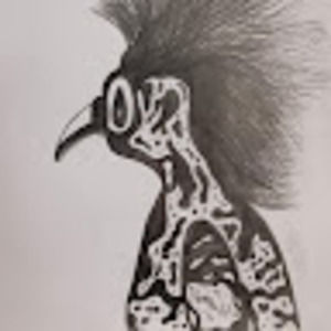 Meet your Posher, Katey